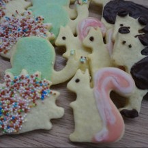 Igel, Eichhörnchen, Schnecke und Bär